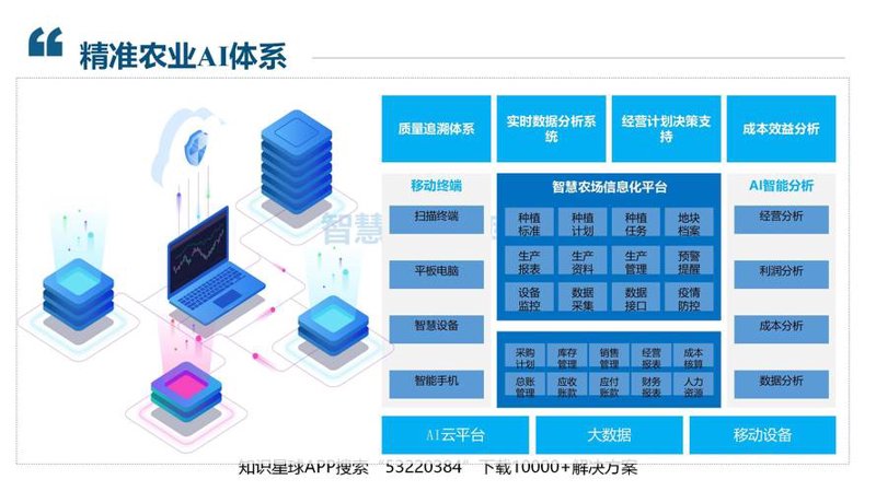 大数据分析：为企业带来智慧的翅膀